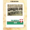 Camisa retrô Palmeiras Cruz de Savoia 1917.